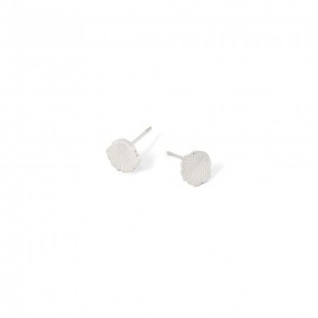 STEEL SHELL EARRINGS