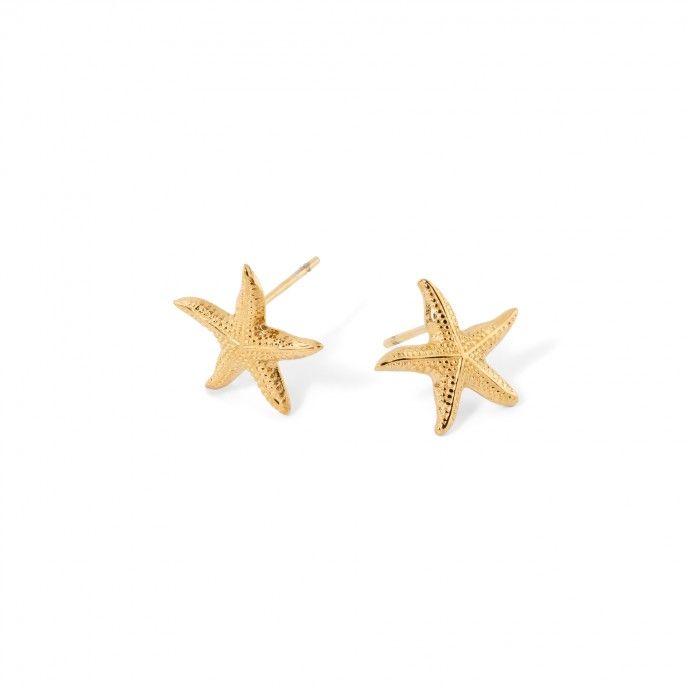 BRINCOS AO ESTRELA DO MAR