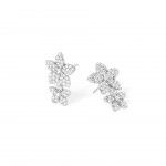 Silver - Zircon