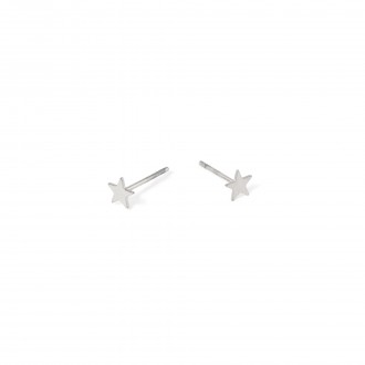 STEEL STAR EARRINGS