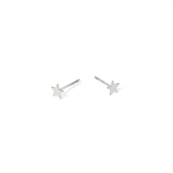 STEEL STAR EARRINGS