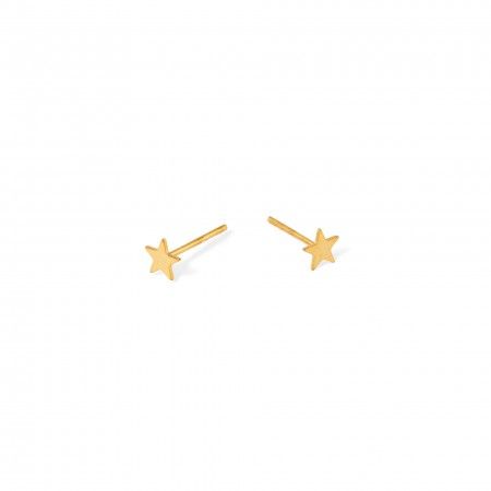 STEEL STAR EARRINGS