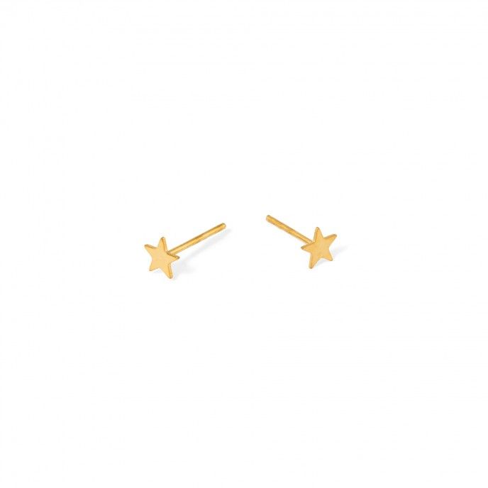 STEEL STAR EARRINGS