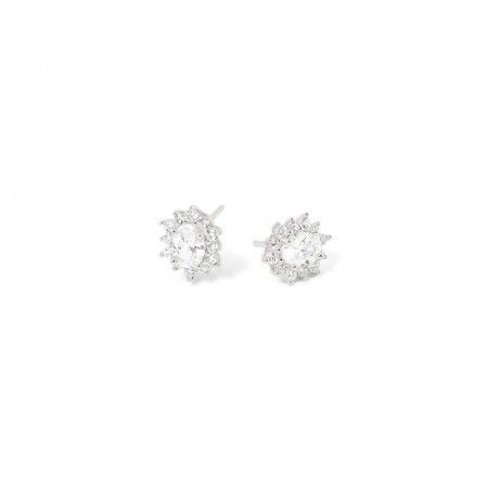 SILVER SHINY EARRINGS