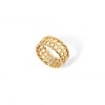 A�o Dourado