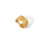 A�o Dourado