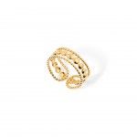 A�o Dourado