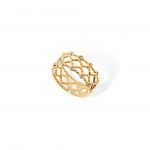 A�o Dourado