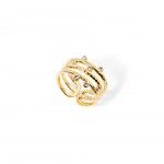 A�o Dourado