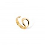 A�o Dourado