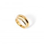 A�o Dourado