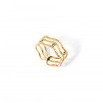 A�o Dourado