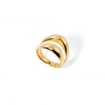 A�o Dourado