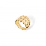 A�o Dourado