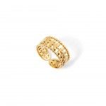 A�o Dourado