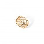 A�o Dourado