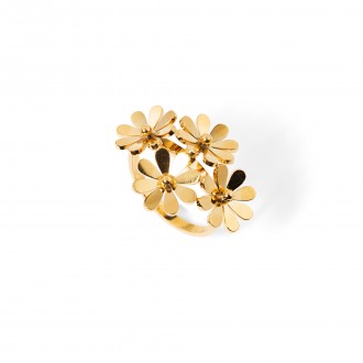 ANILLO FLORES DE ACERO