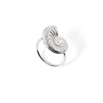 ANEL AÇO CONCHA ANEL AÇO CONCHA