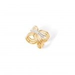 A�o Dourado