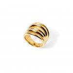 A�o Dourado
