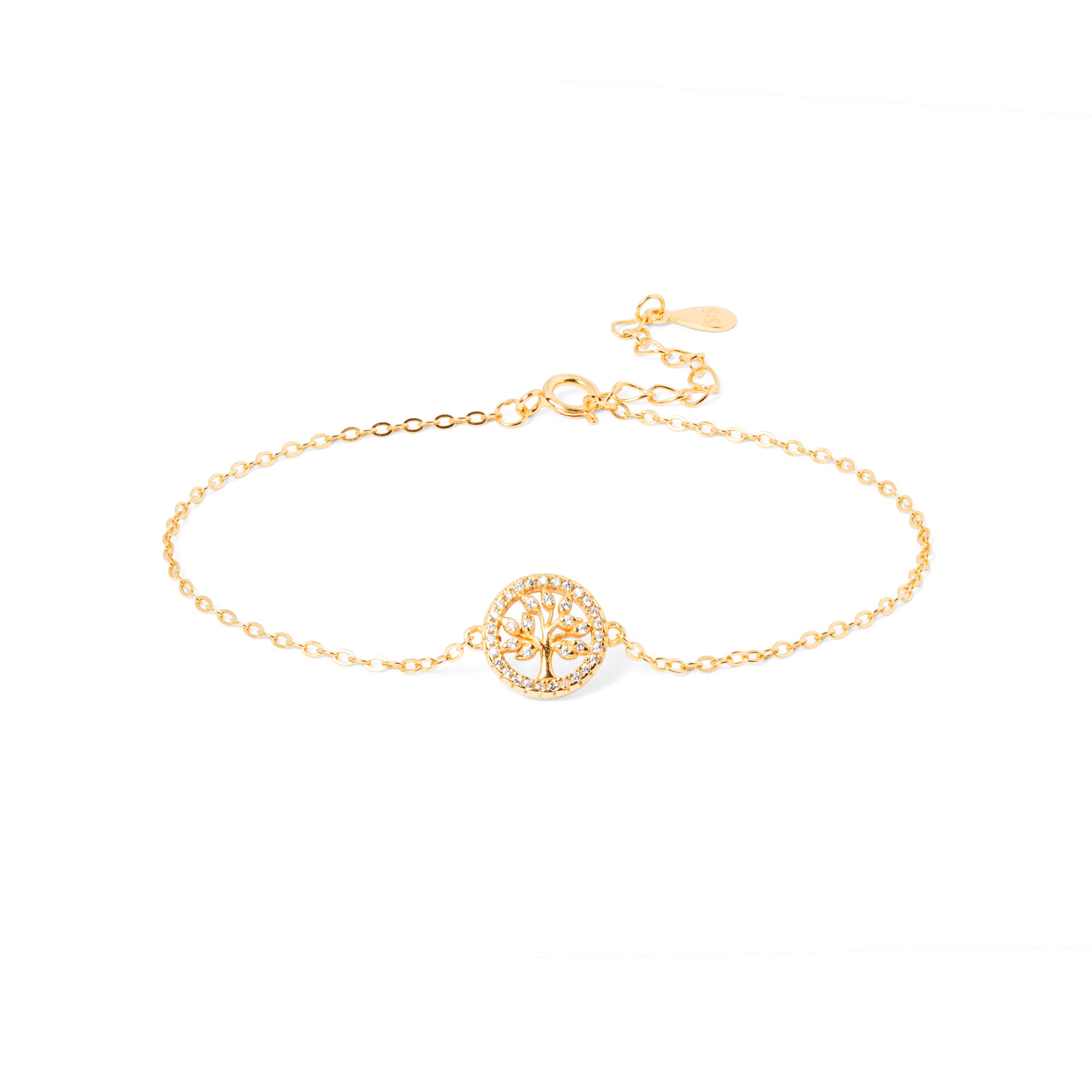 PULSEIRA ÁRVORE DA VIDA
