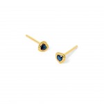 Plata con ba�o de oro de 18k con Circonita Azul