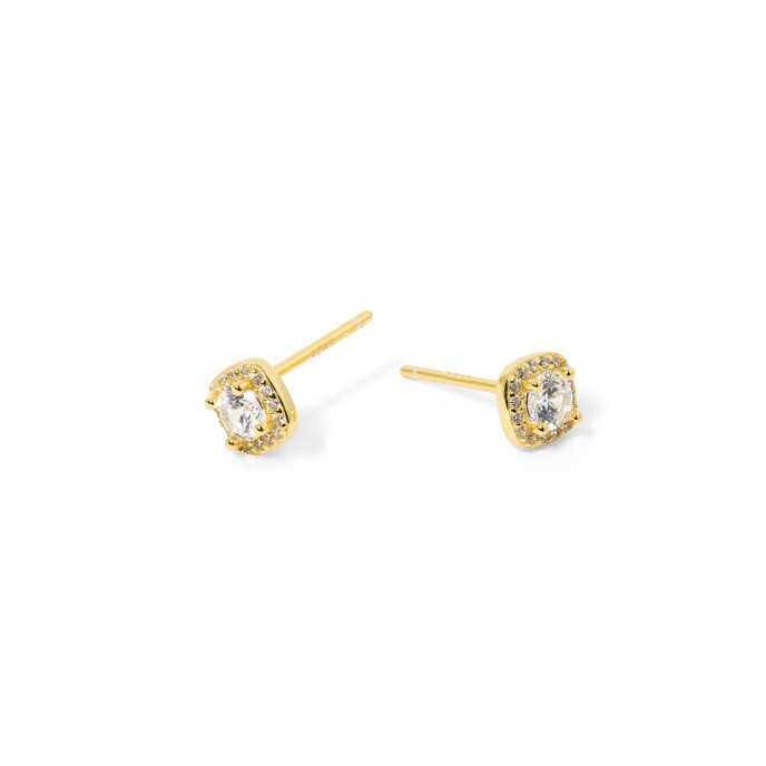 SILVER SHINY EARRINGS