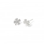 Plata de Ley 925 - Blanco