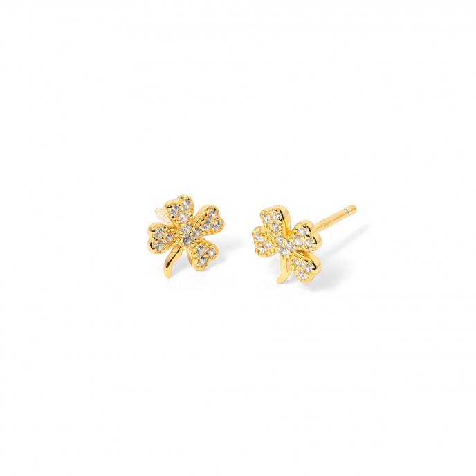 PENDIENTES TR�BOL