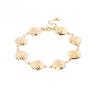 PULSERA CONCHAS DE ACERO PULSERA CONCHAS DE ACERO