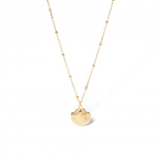 STEEL SHELL NECKLACE