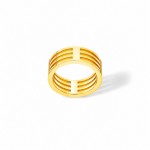 Aco Dourado