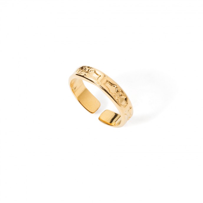ANILLO GEOM�TRICO DE ACERO