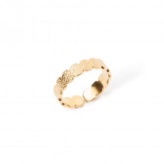 ANILLO CIRCULOS DE ACERO
