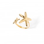 A�o Dourado