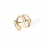 A�o Dourado