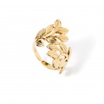 A�o Dourado