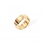 Aço Dourado Aço Dourado