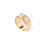 A�o Dourado