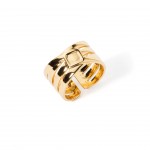 A�o Dourado