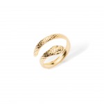 A�o Dourado