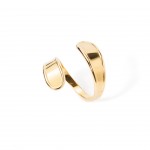 Aço Dourado Aço Dourado