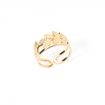 A�o Dourado