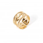 A�o Dourado