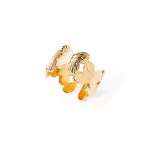 A�o Dourado