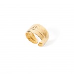 A�o Dourado