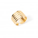 A�o Dourado