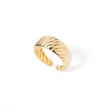 A�o Dourado