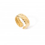 A�o Dourado