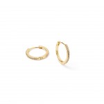 Metal chapado en oro con circonita blanca.